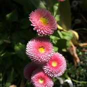 Karmen Johnson's photo