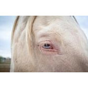 Dawn Dooley's photo