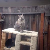 Barbara Clair's photo