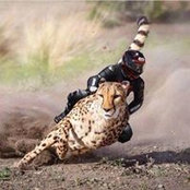 Trent Davis's photo