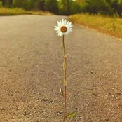 Ánh Ngọc's photo