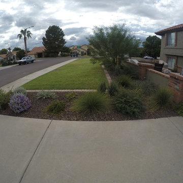 Plantings - 10 Months