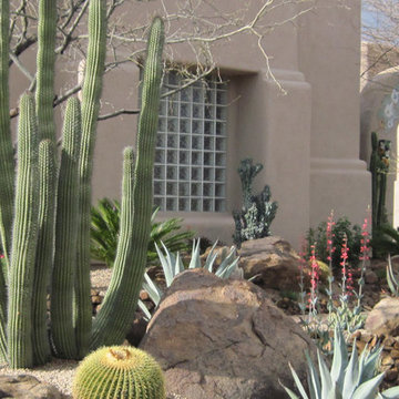 Desert Oasis - Phoenix Home & Garden
