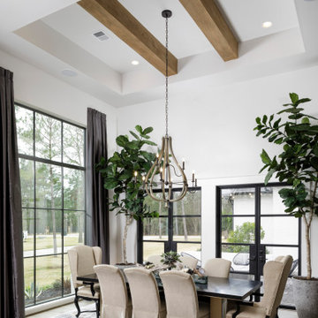 Transitional Meadow Forest