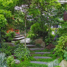 Landscaping ideas