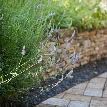 Rain Gardens & Native Plants