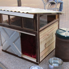dog houses