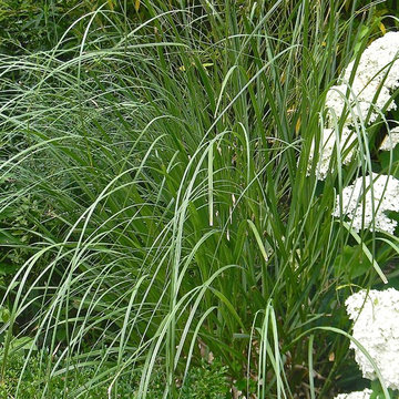 Un jardin de camapgne près de Paris