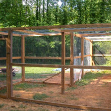 Cat Enclosures and Fun