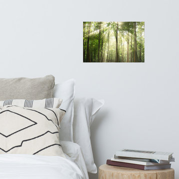Sun Rays Through Treetops Landscape Photo Unframed Wall Art Print, 12" X 18"