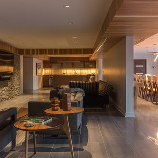 Design ideas for an expansive midcentury basement in Omaha.