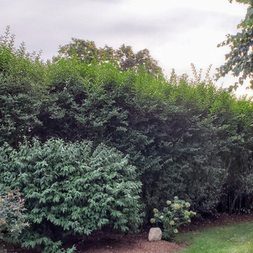 Gardens & Walkways Refresh, Scituate, MA