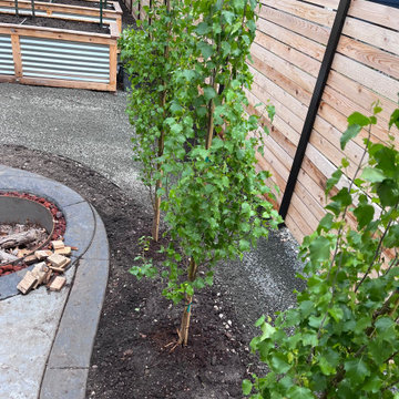 Contemporary Urban Outdoor Living Redesign – Downtown Minneapolis