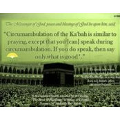 Lamia El Shafie's photo