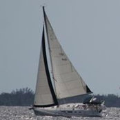 Mary Dorey's photo