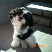 Janet Peterman Davidson's photo