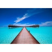 Paula Frost-Bernstein's photo