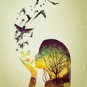 Jenny Jensen's photo