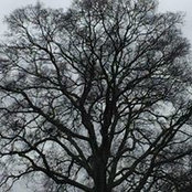Laura Ruddell's photo
