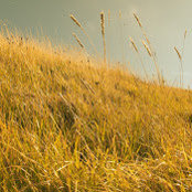 Fabio Governato's photo