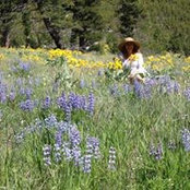 Jasmine Peck's photo