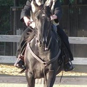 Deborah Powell's photo