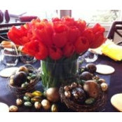 Diane Terry's photo