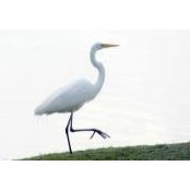 Evie Ribble's photo
