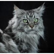 Gillian Smith-Clark's photo