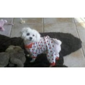 Lynel Perkins's photo