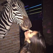 Dennis Castro's photo