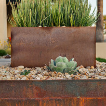 Desert House