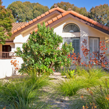 Mediterranean Renovation