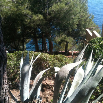Un jardin sur la côte bleue
