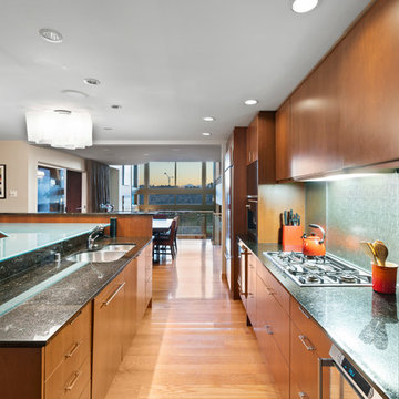 Multi-level Capitol Hill Luxury Home
