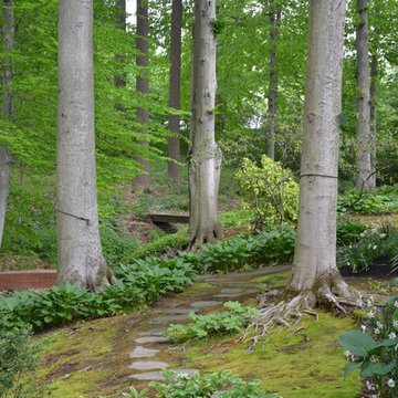 Woodland Garden