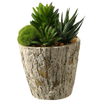 Aloe and Succulents in Weathered Oak Look Cement Planter