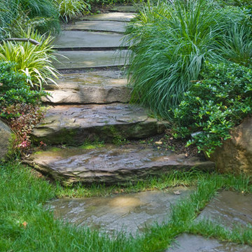 Woodland SPA