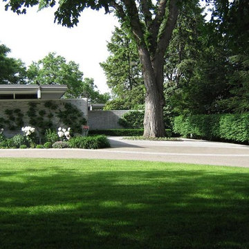 Mid Century Modern Garden