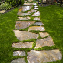 stones and lawn