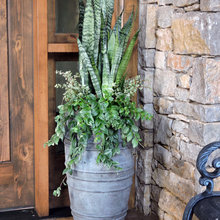 container garden