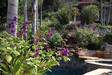 Design ideas for a tropical landscaping in Los Angeles.