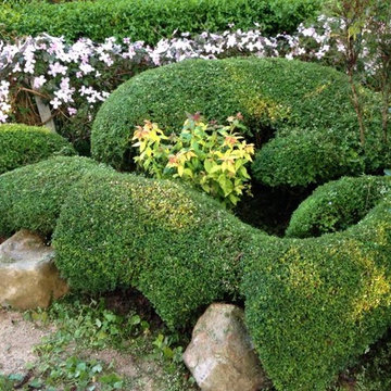 Jardin de thé