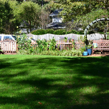 Elite Tall Fescue Lawn Seed Planting