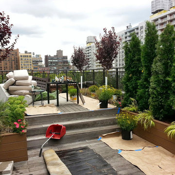 Manhattan Rooftop garden planting