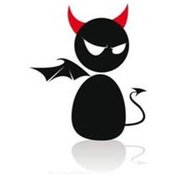 Chris Geyer's photo