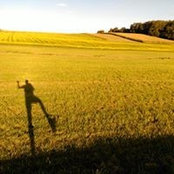 Sonja Raoufi's photo