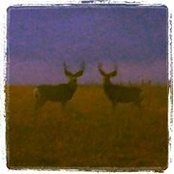 Christine Wagers's photo