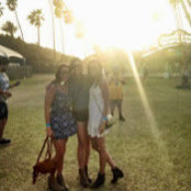 Lindsay Saran's photo
