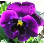 Barbara Slagle's photo